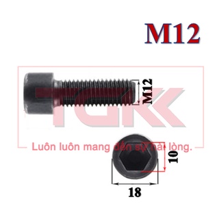 Bulong LGC (Lục giác chìm) đầu trụ M12 (95-200mm)