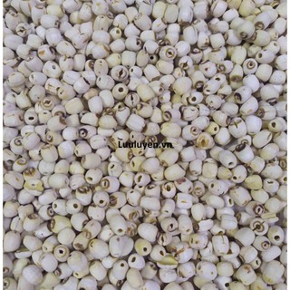 Hạt Sen Khô gốc An Giang 1kg