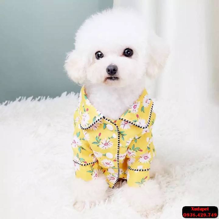 Áo Pijama Sành Điệu Cho Chó Mèo họa tiết đa màu trên áo tạo ngay phong cách thời thượng, đáng yêu - Xudapet - SP005215