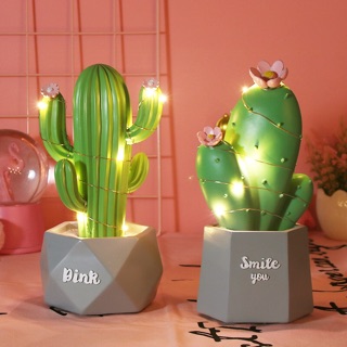 CHẬU XƯƠNG RỒNG ĐÈN LED