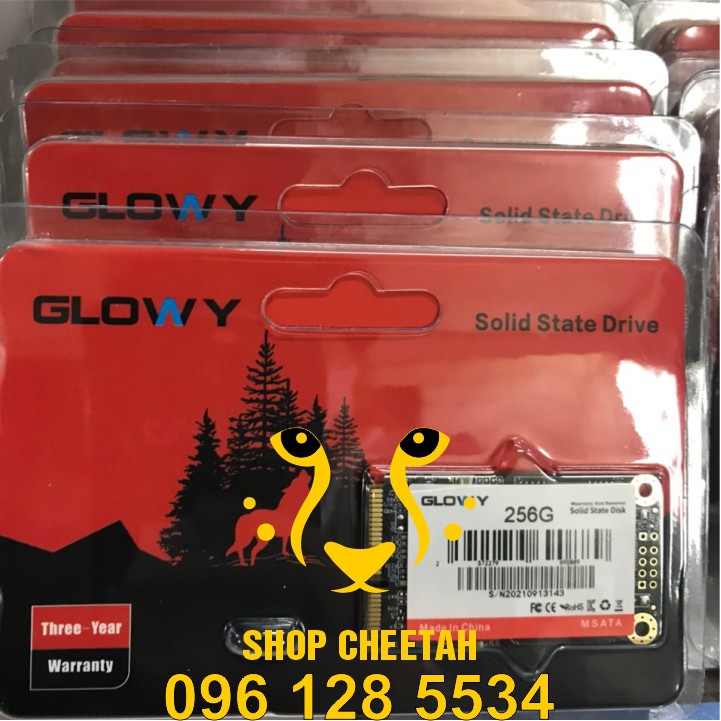 Ổ cứng SSD mSATA Gloway 256GB (Sata3.0) – CHÍNH HÃNG – Bảo hành 3 năm