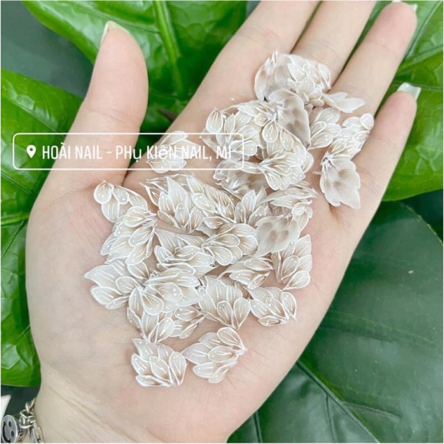 hoa bột ẩn chân, gắn nổi cũng xinh (1 bông)