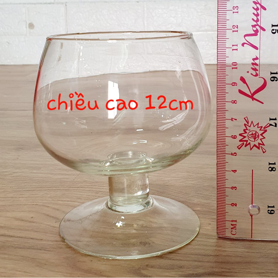 Chậu Thủy Tinh Nuôi Cá Cảnh Trang Trí Dáng Ly