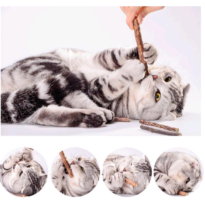 Set 5 Thanh Gỗ Matatabi Nhai Gặm Cho Mèo Giúp Làm Sạch Răng Và Thư Giãn