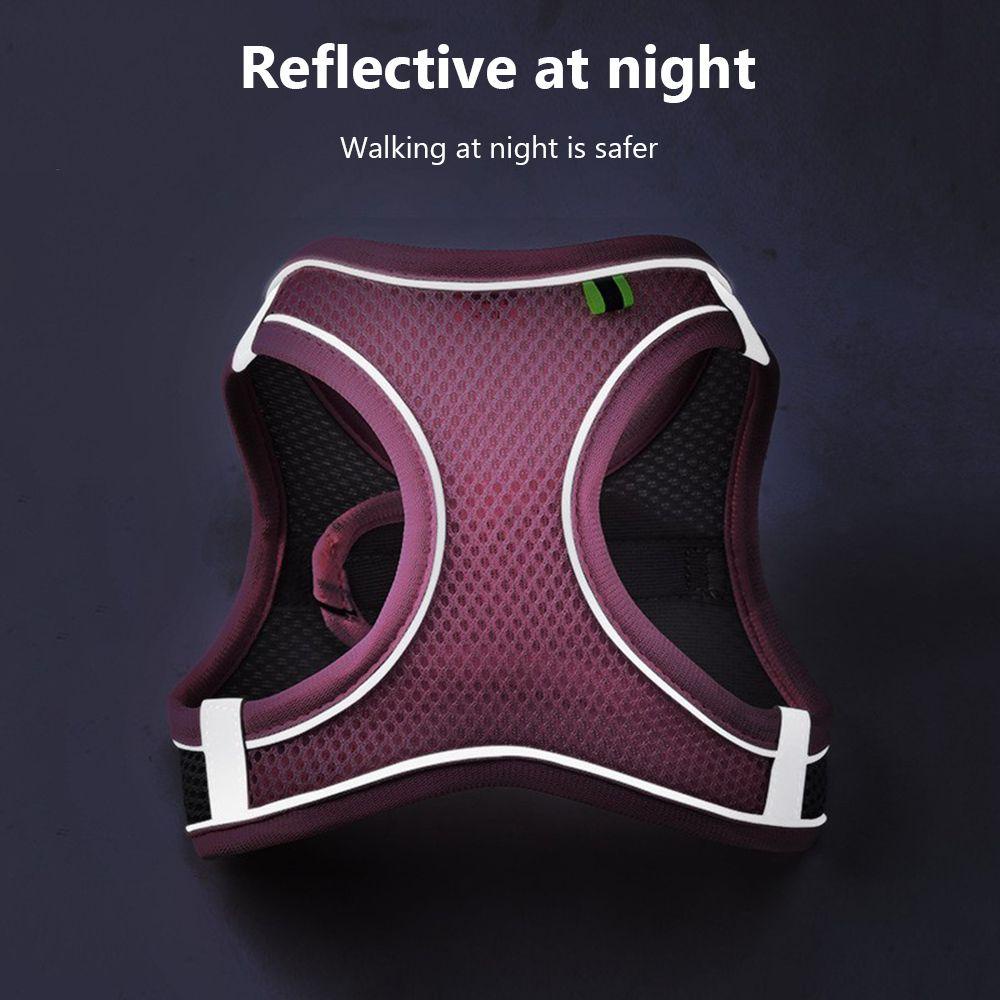 Dây Dắt Thú Cưng Đi Dạo Có Phản Quang Tiện Dụng