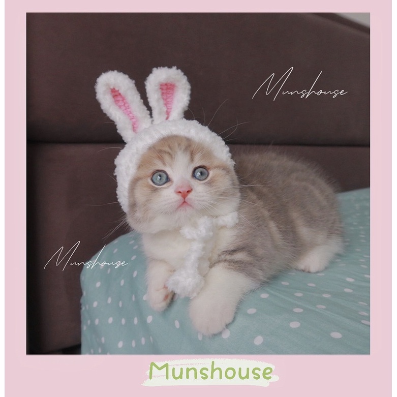 Mũ len thỏ lông cho thú cưng