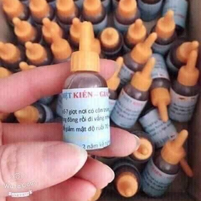 combo 100 chai diệt kiến