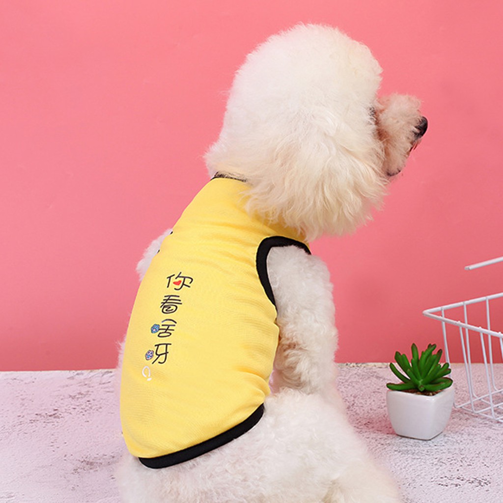 Áo thun in chữ đáng yêu dành cho thú cưng