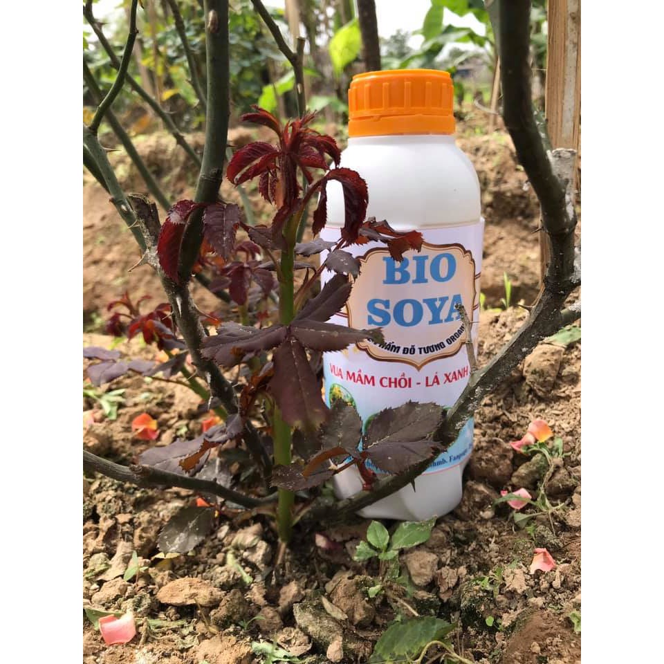 Phân bón đỗ tương Bio Soya giúp hoa to, lá bóng, xanh mượt, tăng kích thước hoa.