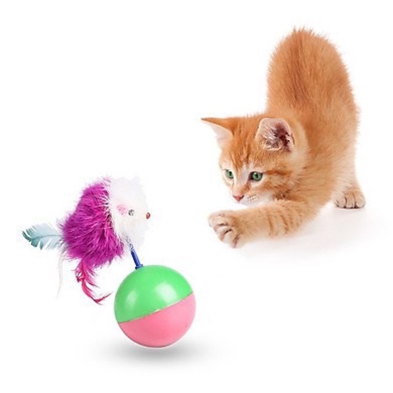 [Mã PET50K giảm Giảm 10% - Tối đa 50K đơn từ 250K] Banh bóng chuột lật đật đồ chơi giải trí dành cho mèo