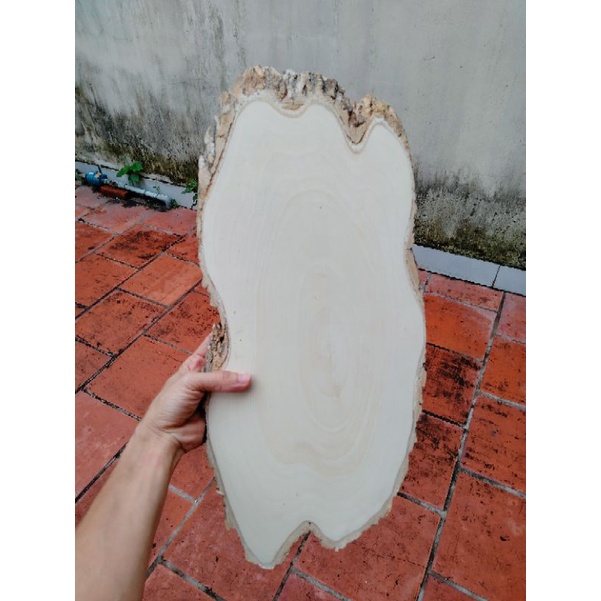 Lát gỗ Decor trang trí dài 44-48cm.