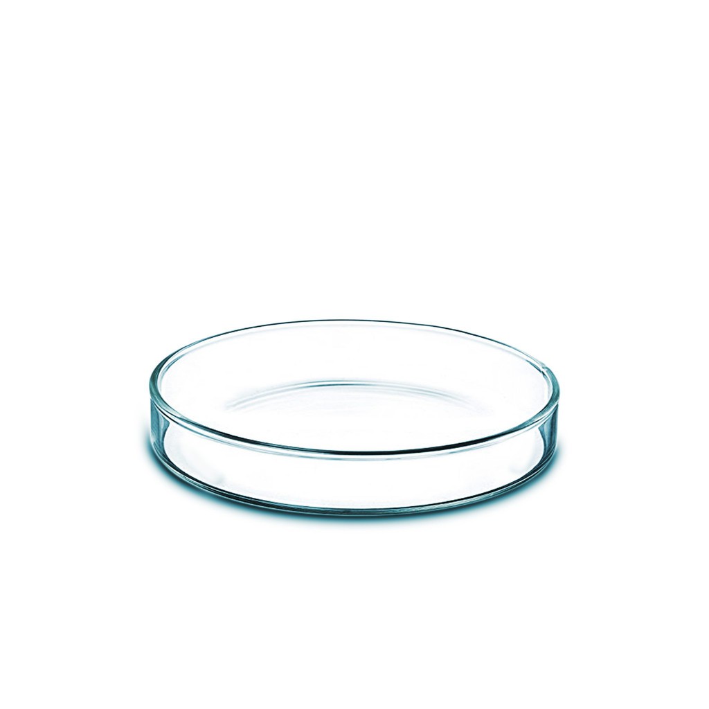 Đĩa petri thủy tinh 60/15 mm | 80/15 mm tiêu chuẩn DIN-Đức | PETRI DISHES - glass