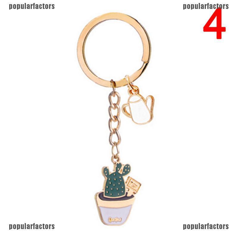 Cây Xương Rồng Tráng Men Sáng Tạo