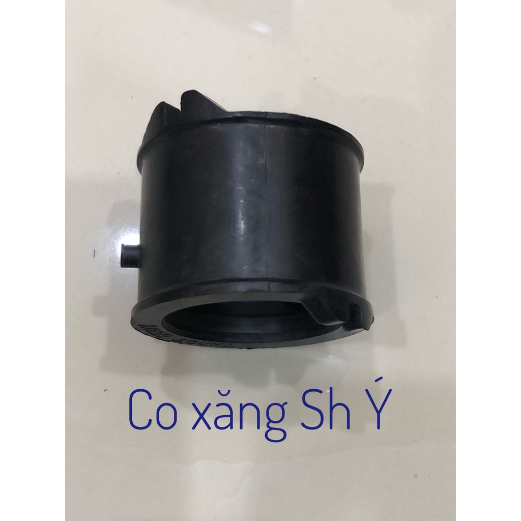 Co xăng Sh Ý