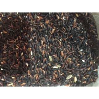 Nếp cẩm loại 1