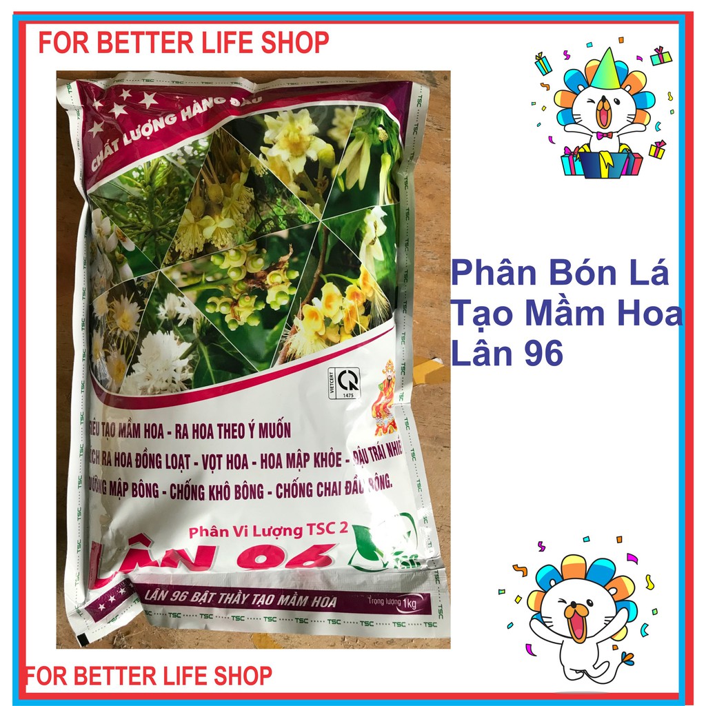 Phân Bón Lá Tạo Mầm Lân 96 Chuyên Tạo Mầm Cây Ăn Trái Túi 1kg