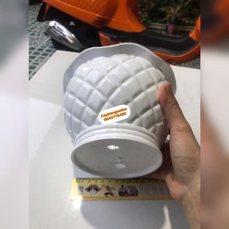 Caykiengsadec chậu quả dứa - trang trí nội thất cảnh quan sân vườn ngoài trời - chậu nhựa dẻo trắng