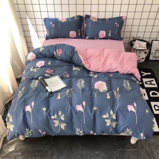 Cotton 40s hàng hộp