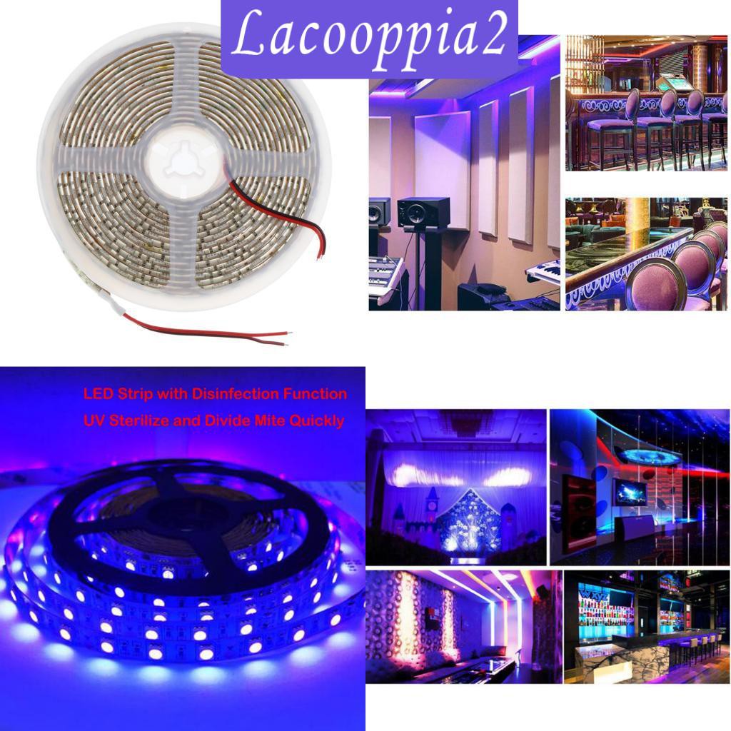 Dây Đèn Led Uv Lapoppia2 5m 12v Uv 395nm - 405nm Cho Dj