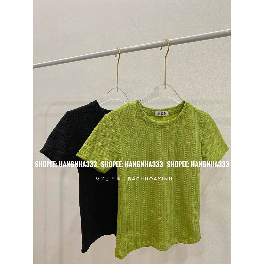 NEW || Áo thun gân nữ basic dáng ôm tay ngắn nhiều màu dễ phối đồ Ulzzang
