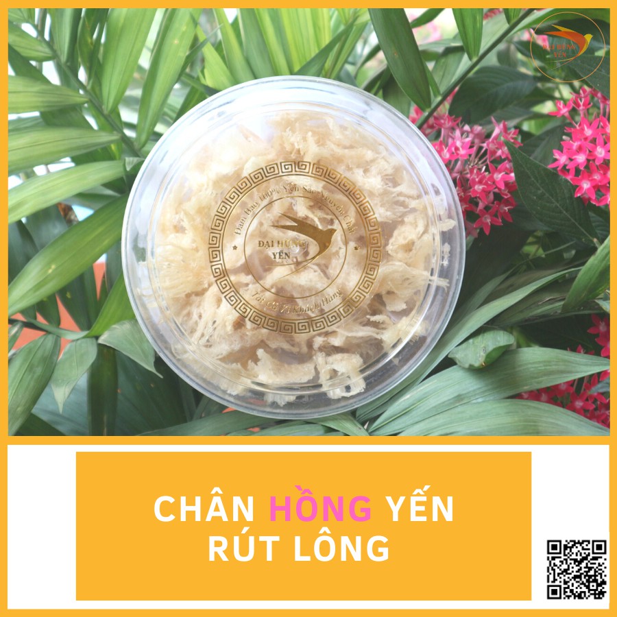 CHÂN YẾN HỒNG RÚT LÔNG -  [100% ❤TỔ YẾN NGUYÊN CHẤT CẦN GIỜ]_ĐẠI HÙNG YẾN