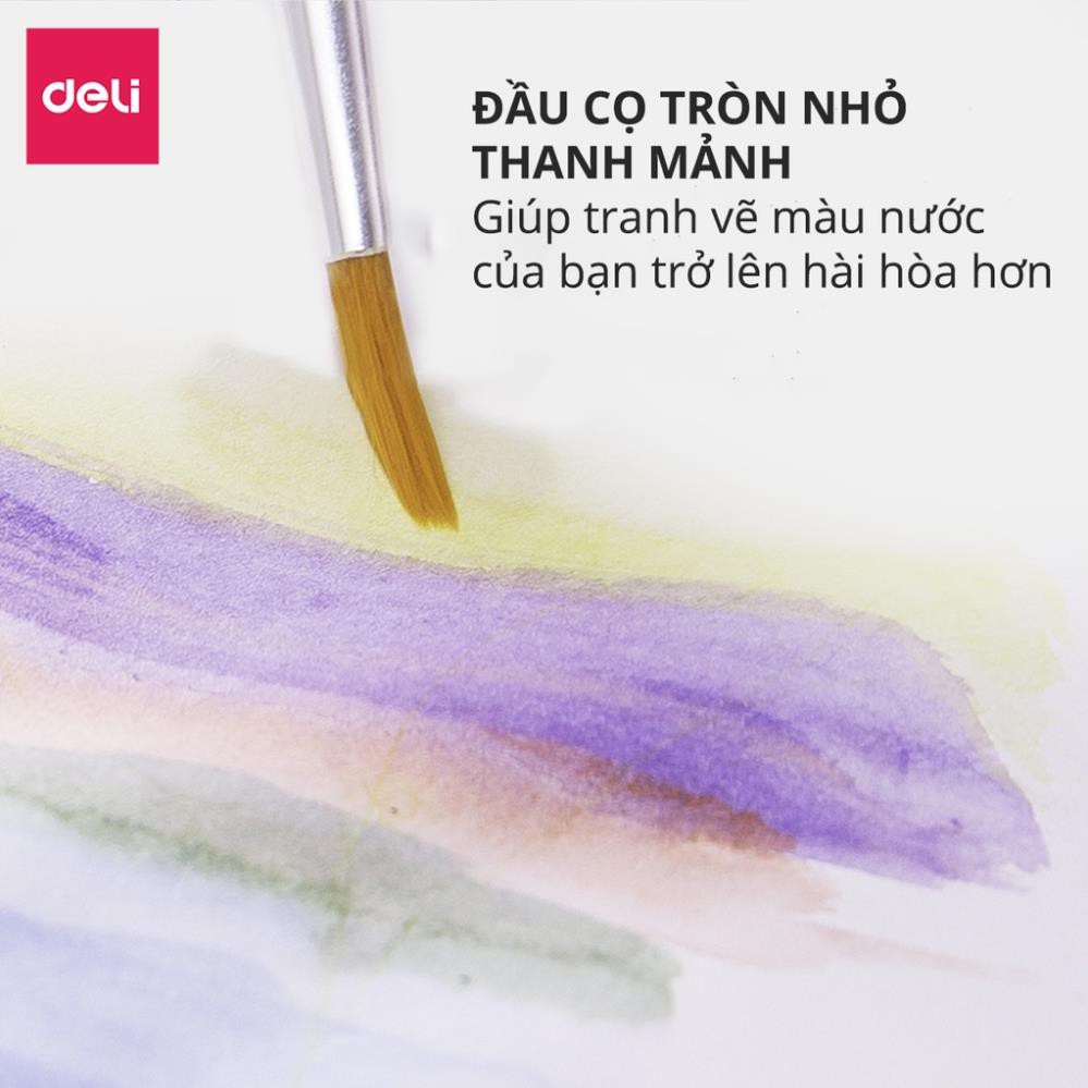 Bộ cọ vẽ tranh Deli dành cho học sinh