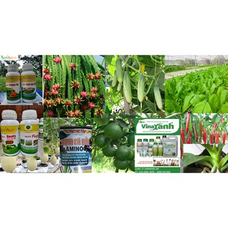 PHÂN BÓN VINAXANH 2 TƯỚI GỐC