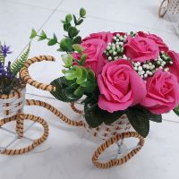 Combo 5 xe đạp hoa