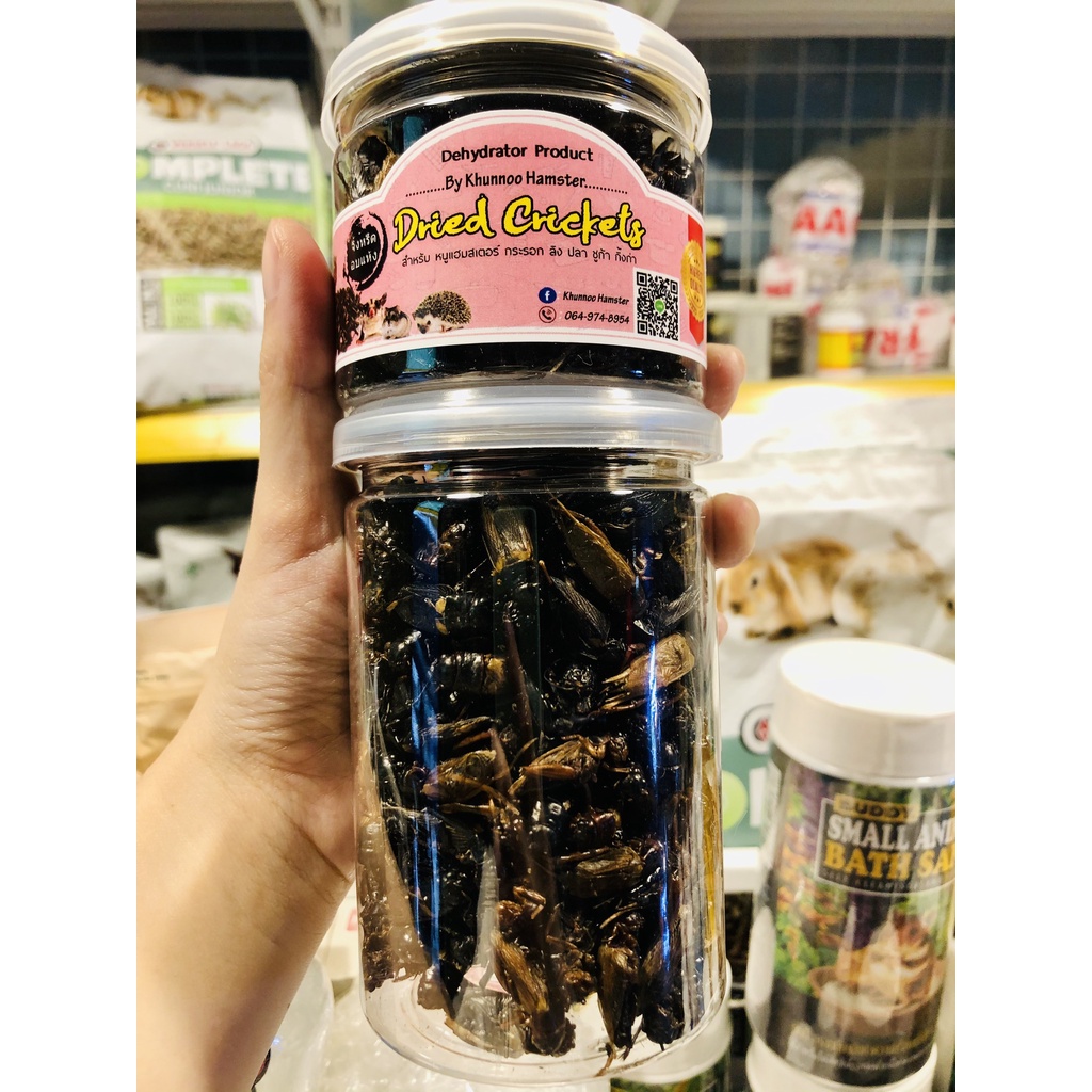 Côn trùng sấy khô thơm ngon,chất lượng made in Thailand  hũ to dành cho Hamster,Sóc bay,nhím...