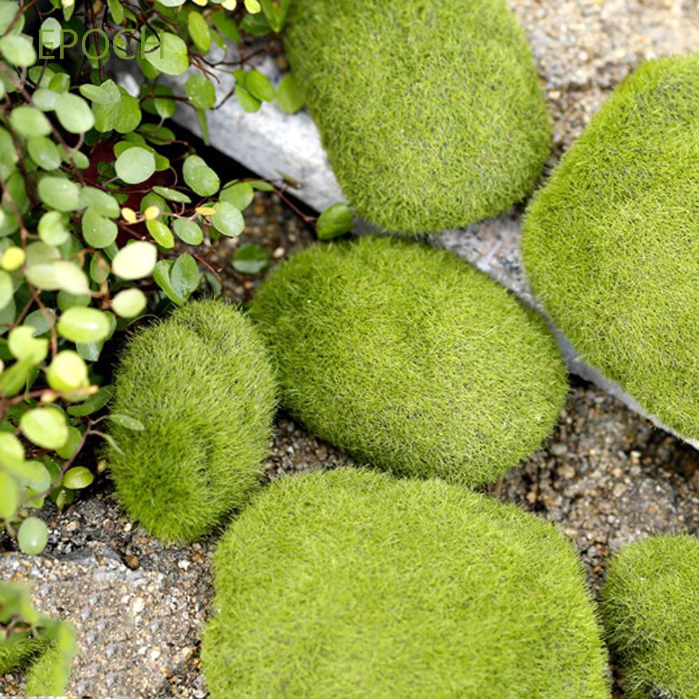 Mô hình rêu xanh trang trí phong cảnh tuyệt đẹp