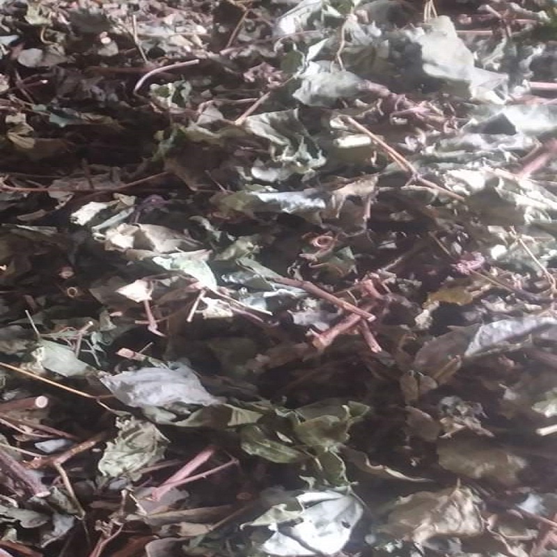 Chè Dây Rừng 1kg