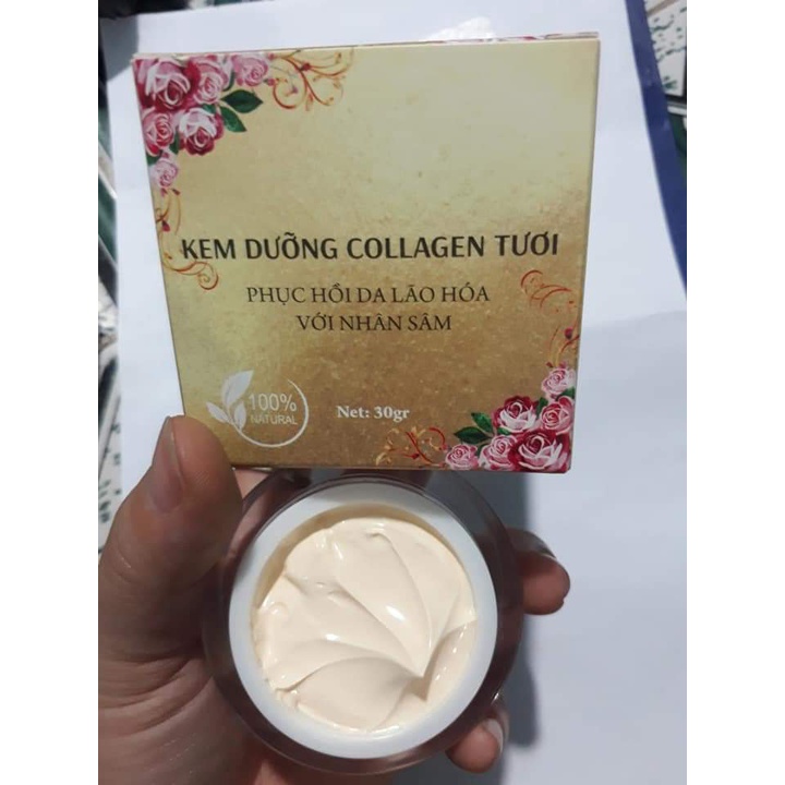 Kem face mềm collagen hồng sâm dưỡng trắng sáng đông y thiên nhiên Dưỡng da phục hồi sau tái tạo