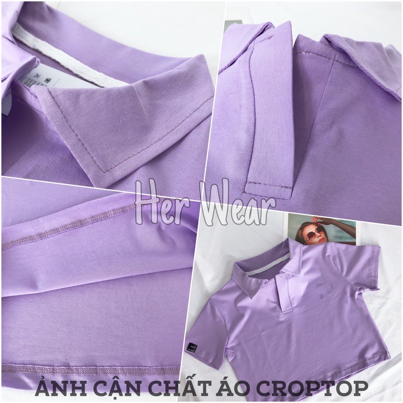 Áo croptop nữ Polo cổ bẻ, dáng ôm nhẹ chất cotton co dãn thoáng mát. | BigBuy360 - bigbuy360.vn