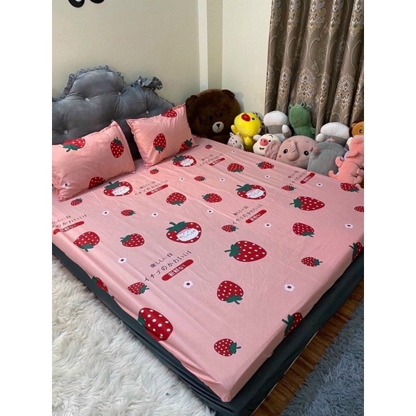 Bộ ga gối ôm cotton poly bo chun chắc chắn loại 1 cao cấp