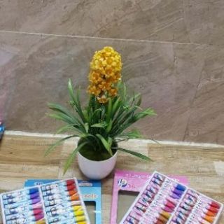 Sáp dầu 36 mầu
