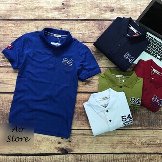 Áo thun nam COTTON cá sấu Dry
