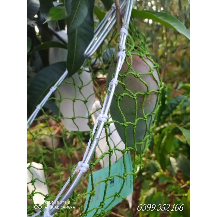 VỢT HÁI TRÁI CÂY CÓ LƯỠI CẮT HÁI TRÁI TIỆN LỢI KÍCH THƯỚC 20*40CM