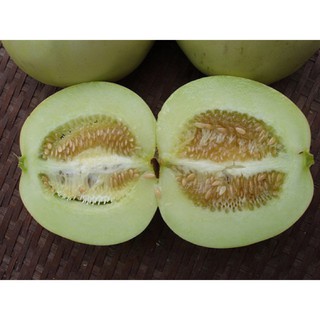 sale off Hạt dưa lê siêu ngọt hàng chuẩn cty.