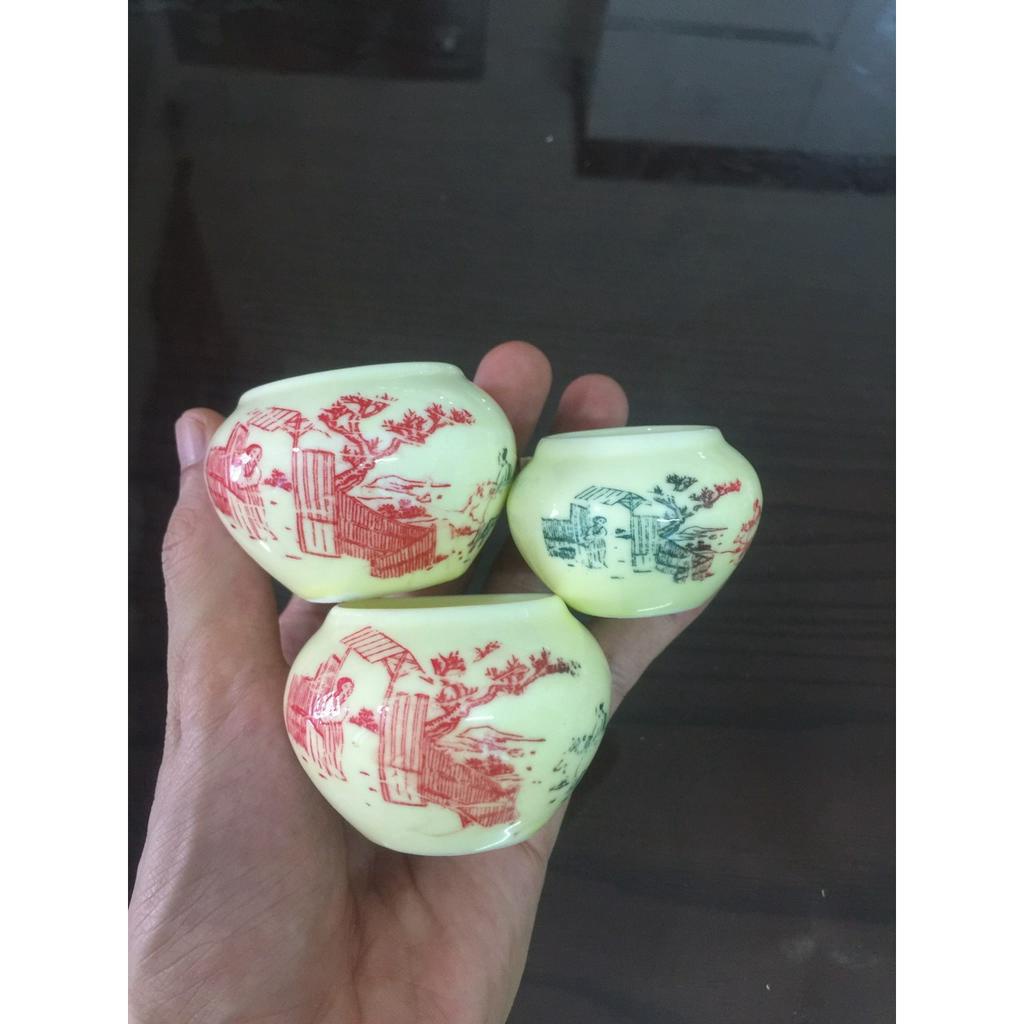 CÓNG SỨ CHIM CHÀO MÀO, Đã kèm tai, rẻ, đẹp