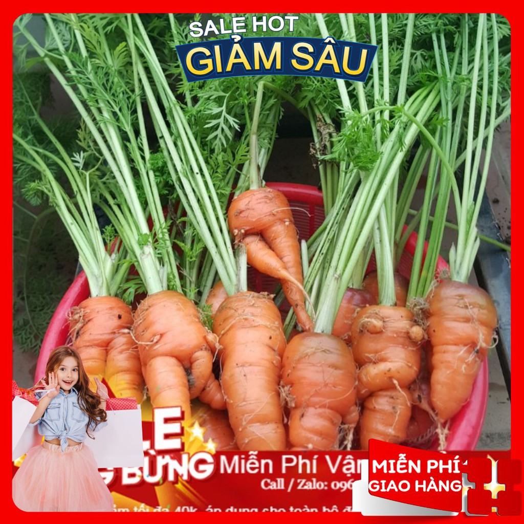 Hạt Giống Cà Rốt F1 -100 Hạt / Gói