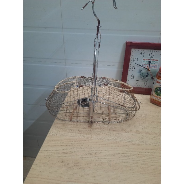 BẪY inox khuyên và chào mào SÀI GÒN loại 1 đẹp xịn