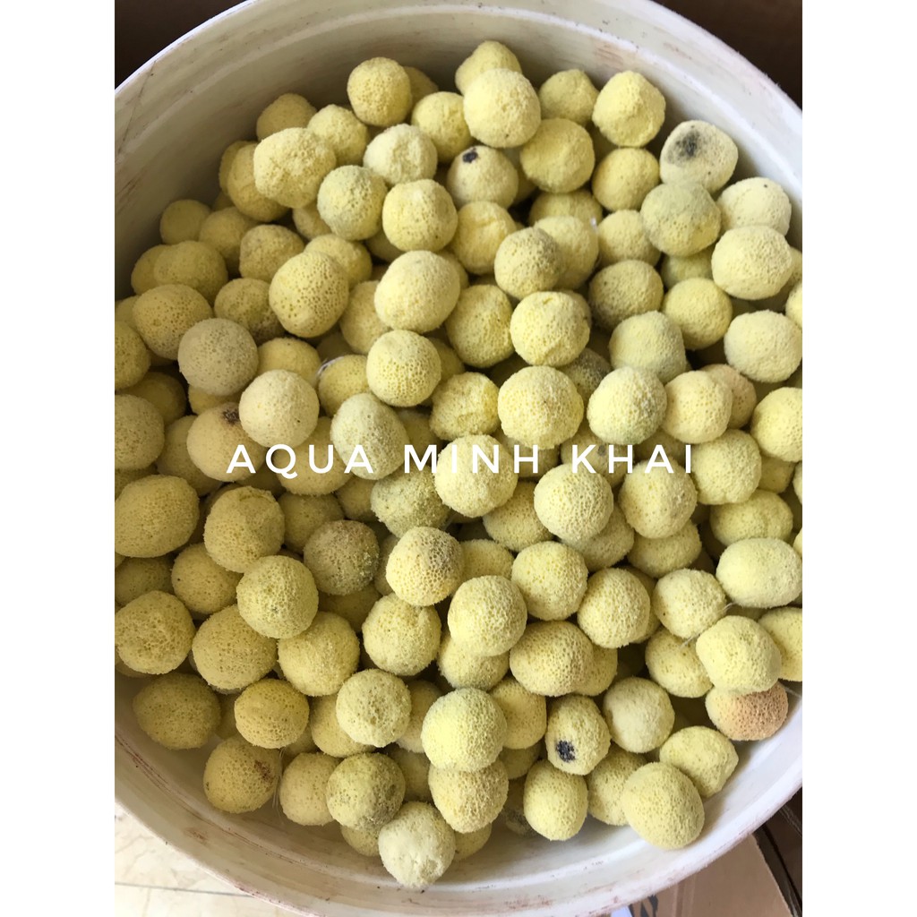 Sứ bi vàng (Sứ lọc vi sinh cao cấp) 100g, 500g