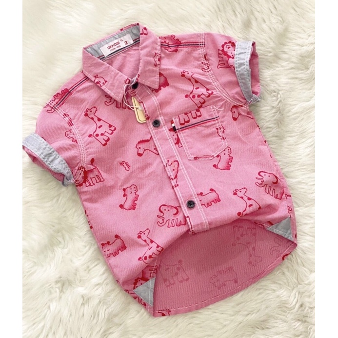 Áo sơ mi tay ngắn thời trang phong cách in hoạ tiết đẹp cho bé trai  - Hirokids