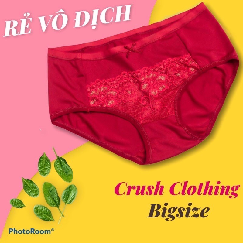 Quần Lót Ren Chip Bigsize 55-100kg