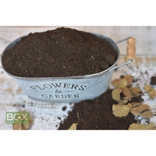 Đất sạch trồng cây trông nhà đất sạch trồng cây trên sân thượng đât sạch trồng cây vào chậu