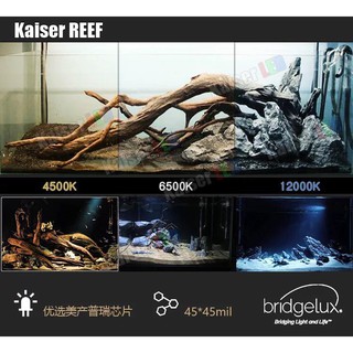 Đèn led rọi Kaiser 10W