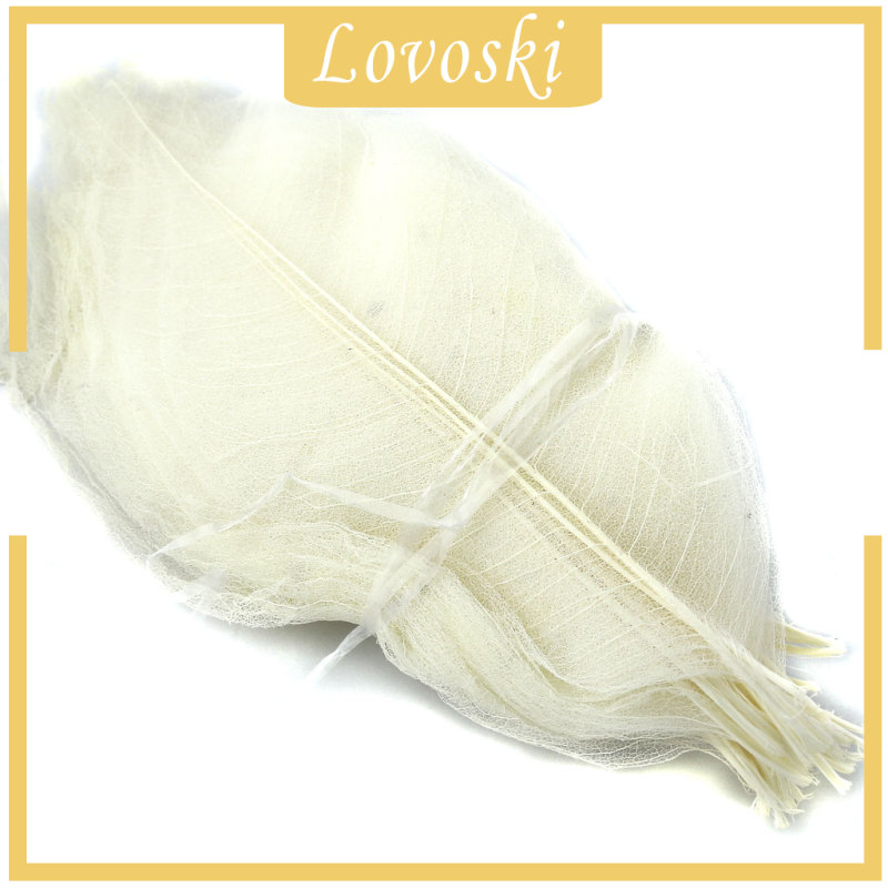 Bộ 50 Lá Mộc Lan Tự Nhiên Dùng Để Trang Trí