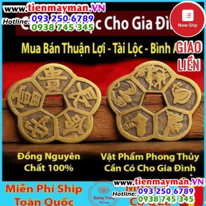 Đồng Tiền Hoa Mai ⭐FREESHIP⭐ Kim Tiền Tài Lộc