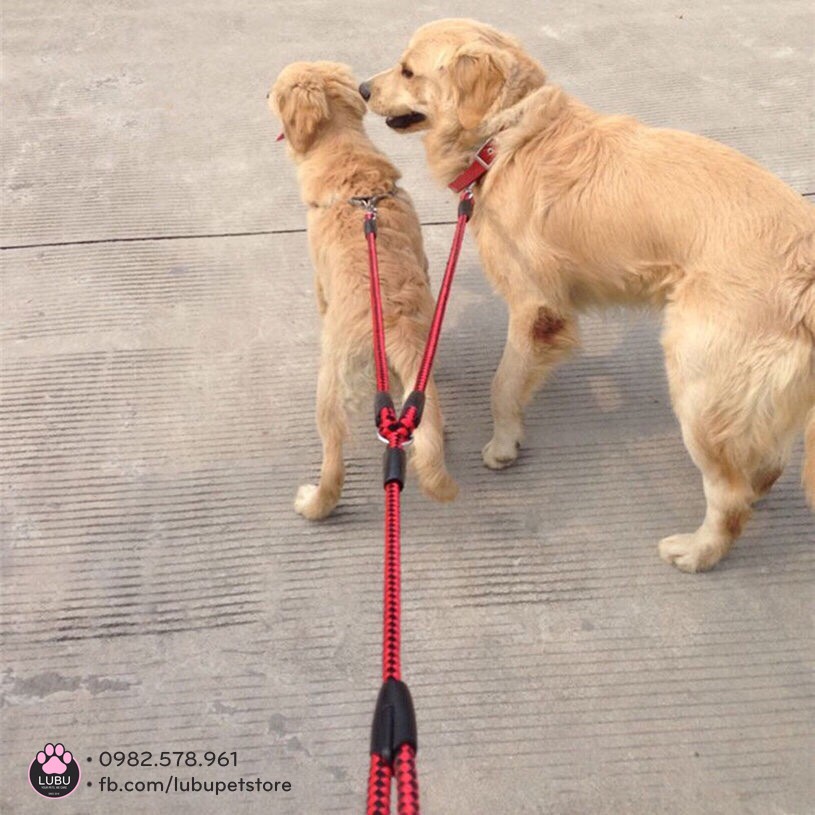 Dây dắt đôi cường lực cho chó mèo