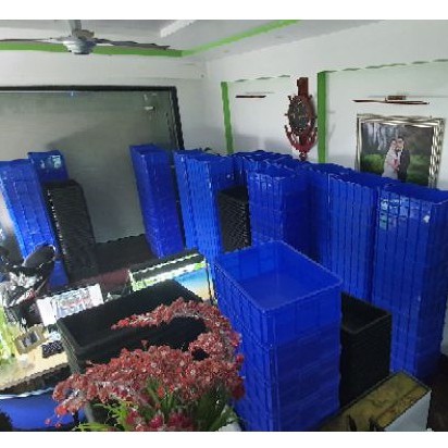 Khay nhựa nuôi cá sóng bít thấp kích thước 61x42x19